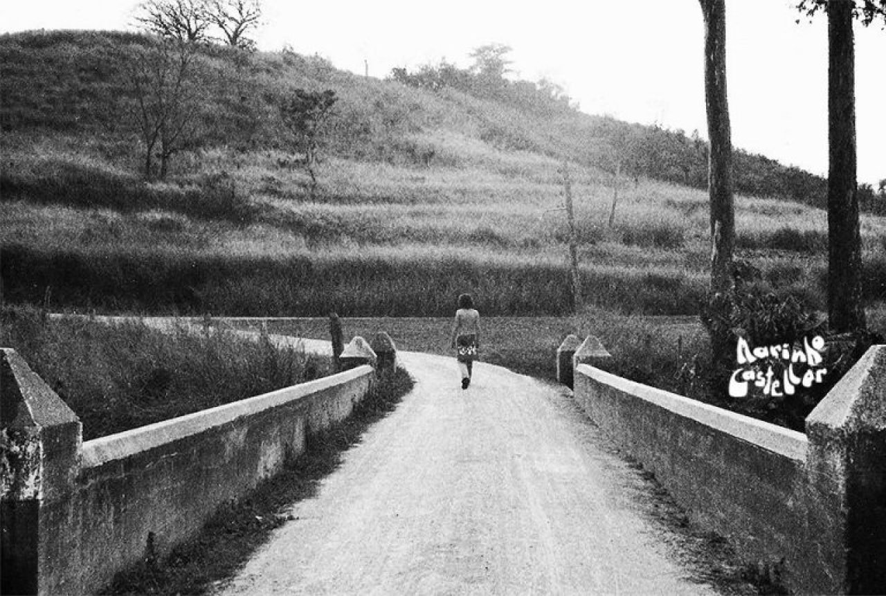 marinhoandando-768x517